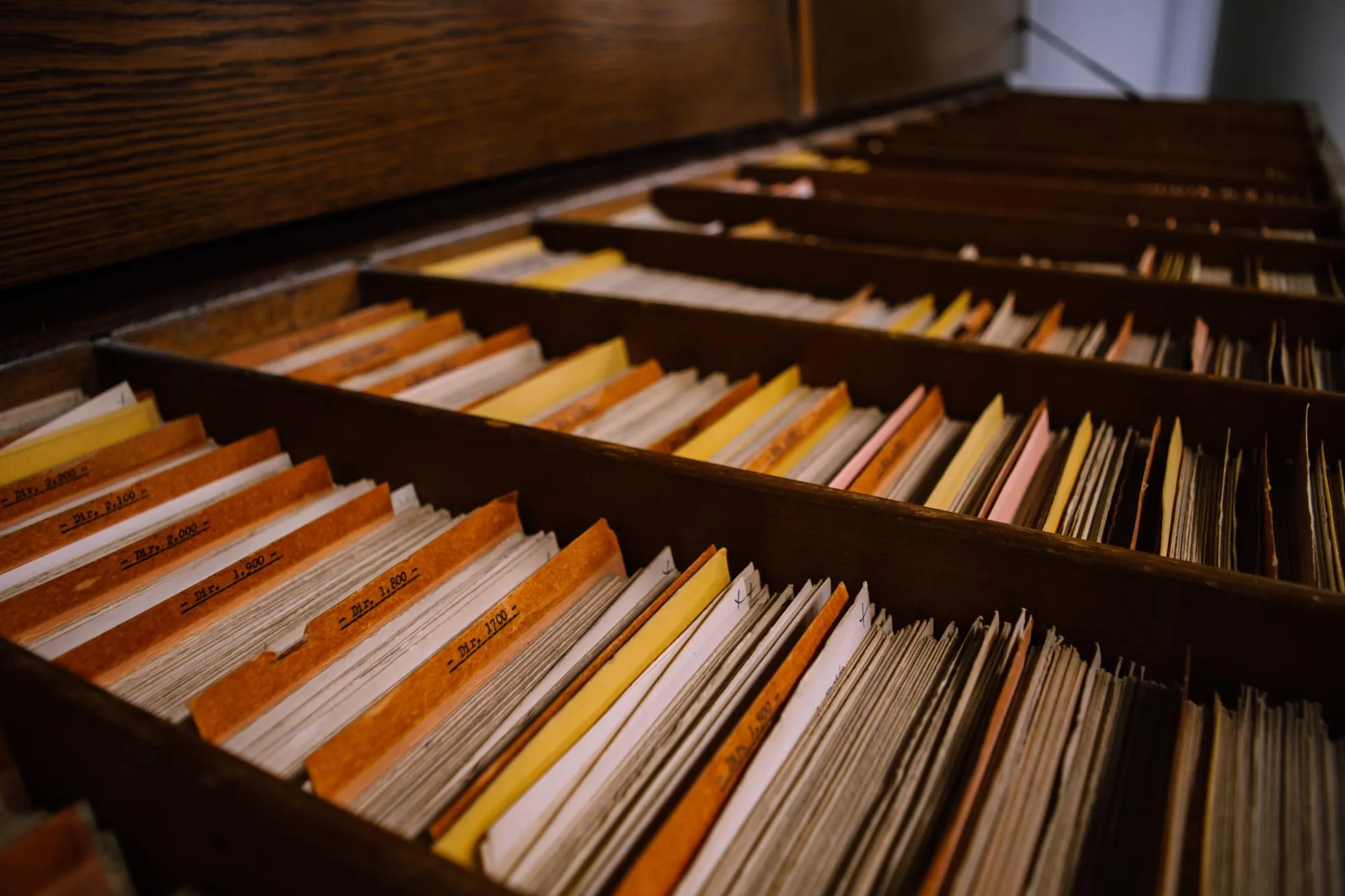 Архівні пошуки